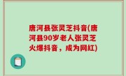 唐河县张灵芝抖音(唐河县90岁老人张灵芝火爆抖音，成为网红)