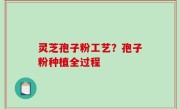 灵芝孢子粉工艺？孢子粉种植全过程