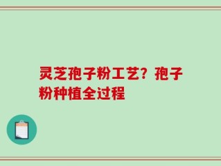 灵芝孢子粉工艺？孢子粉种植全过程