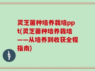 灵芝菌种培养栽培ppt(灵芝菌种培养栽培——从培养到收获全程指南)