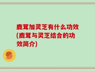 鹿茸加灵芝有什么功效(鹿茸与灵芝结合的功效简介)