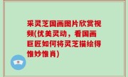采灵芝国画图片欣赏视频(优美灵动，看国画巨匠如何将灵芝描绘得惟妙惟肖)
