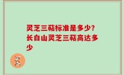 灵芝三萜标准是多少？长白山灵芝三萜高达多少
