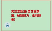 灵芝堂劲酒(灵芝堂劲酒：秘制配方，柔和醇香)