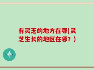 有灵芝的地方在哪(灵芝生长的地区在哪？)