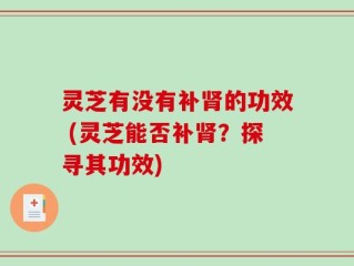 灵芝有没有补肾的功效 (灵芝能否补肾？探寻其功效)