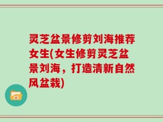 灵芝盆景修剪刘海推荐女生(女生修剪灵芝盆景刘海，打造清新自然风盆栽)