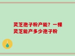 灵芝孢子粉产能？一棵灵芝能产多少孢子粉