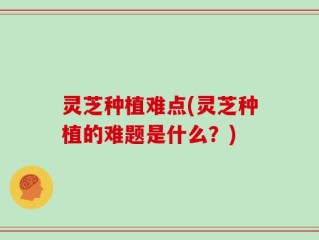 灵芝种植难点(灵芝种植的难题是什么？)