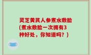 灵芝黄芪人参煮水敷脸(煮水敷脸一次拥有3种好处，你知道吗？)