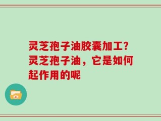 灵芝孢子油胶囊加工？灵芝孢子油，它是如何起作用的呢