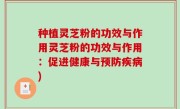 种植灵芝粉的功效与作用灵芝粉的功效与作用：促进健康与预防疾病)