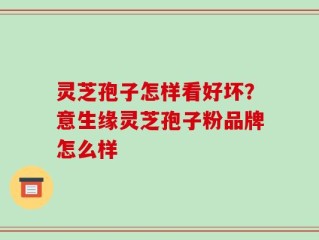 灵芝孢子怎样看好坏？意生缘灵芝孢子粉品牌怎么样