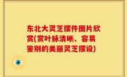 东北大灵芝摆件图片欣赏(赏叶脉清晰、容易鉴别的美丽灵芝摆设)