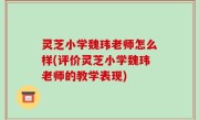灵芝小学魏玮老师怎么样(评价灵芝小学魏玮老师的教学表现)
