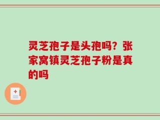 灵芝孢子是头孢吗？张家窝镇灵芝孢子粉是真的吗