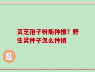 灵芝孢子粉能种植？野生灵种子怎么种植