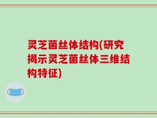 灵芝菌丝体结构(研究揭示灵芝菌丝体三维结构特征)