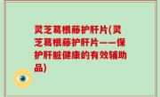 灵芝葛根藤护肝片(灵芝葛根藤护肝片——保护肝脏健康的有效辅助品)
