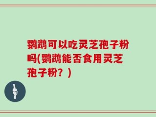 鹦鹉可以吃灵芝孢子粉吗(鹦鹉能否食用灵芝孢子粉？)