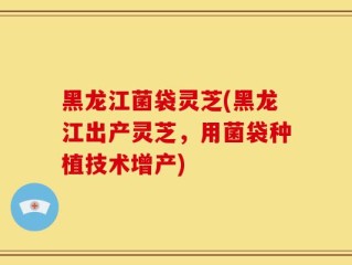 黑龙江菌袋灵芝(黑龙江出产灵芝，用菌袋种植技术增产)