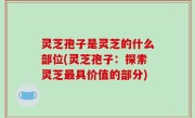 灵芝孢子是灵芝的什么部位(灵芝孢子：探索灵芝最具价值的部分)