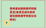 贵州省松桃民族学校田灵芝(田灵芝成为贵州省松桃民族学校首位女校长)