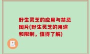 野生灵芝的应用与禁忌图片(野生灵芝的用途和限制，值得了解)