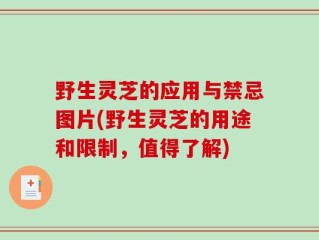 野生灵芝的应用与禁忌图片(野生灵芝的用途和限制，值得了解)