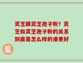 灵芝跟灵芝孢子粉？灵芝和灵芝孢子粉的关系到底是怎么样的谁更好