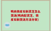 鸭肉铁皮石斛灵芝怎么煲汤(鸭肉配灵芝、铁皮石斛煲汤方法分享)