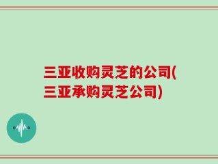三亚收购灵芝的公司(三亚承购灵芝公司)