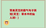赞美灵芝的霸气句子简短(灵芝：草木中的仙人球！)