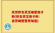 天然野生灵芝破壁孢子粉(野生灵芝孢子粉：自然破壁营养加倍)