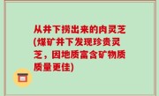 从井下捞出来的肉灵芝(煤矿井下发现珍贵灵芝，因地质富含矿物质质量更佳)