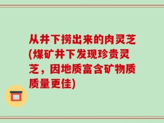从井下捞出来的肉灵芝(煤矿井下发现珍贵灵芝，因地质富含矿物质质量更佳)