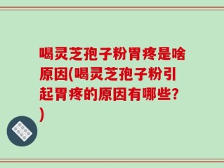 喝灵芝孢子粉胃疼是啥原因(喝灵芝孢子粉引起胃疼的原因有哪些？)