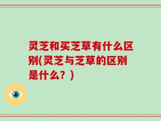 灵芝和买芝草有什么区别(灵芝与芝草的区别是什么？)