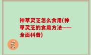 神草灵芝怎么食用(神草灵芝的食用方法——全面科普)