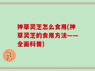 神草灵芝怎么食用(神草灵芝的食用方法——全面科普)