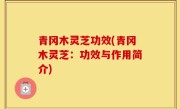 青冈木灵芝功效(青冈木灵芝：功效与作用简介)
