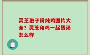灵芝孢子粉炖鸡图片大全？灵芝和鸡一起煲汤怎么样