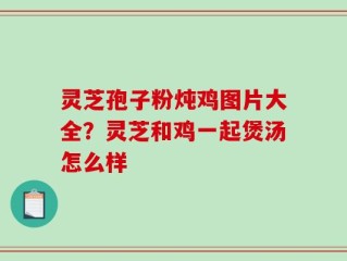 灵芝孢子粉炖鸡图片大全？灵芝和鸡一起煲汤怎么样