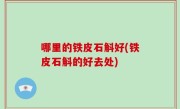 哪里的铁皮石斛好(铁皮石斛的好去处)