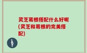 灵芝葛根搭配什么好呢(灵芝和葛根的完美搭配)