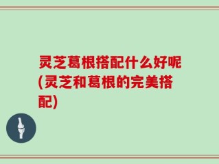灵芝葛根搭配什么好呢(灵芝和葛根的完美搭配)