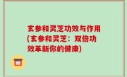 玄参和灵芝功效与作用(玄参和灵芝：双倍功效革新你的健康)