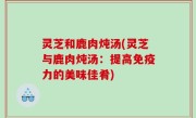 灵芝和鹿肉炖汤(灵芝与鹿肉炖汤：提高免疫力的美味佳肴)