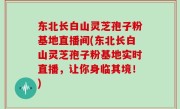 东北长白山灵芝孢子粉基地直播间(东北长白山灵芝孢子粉基地实时直播，让你身临其境！)