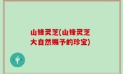山锋灵芝(山锋灵芝 大自然赐予的珍宝)